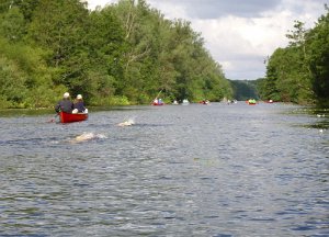 WakenitzMan P Schimming 138